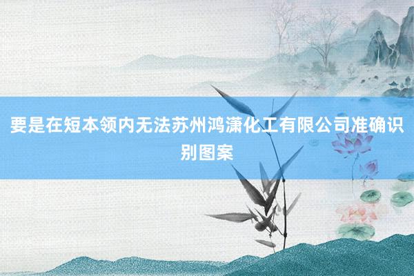 要是在短本领内无法苏州鸿潇化工有限公司准确识别图案