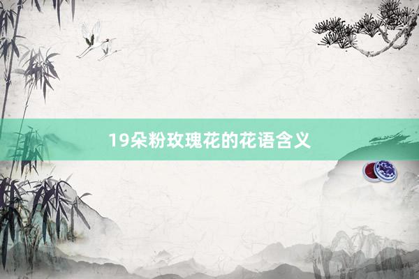 19朵粉玫瑰花的花语含义
